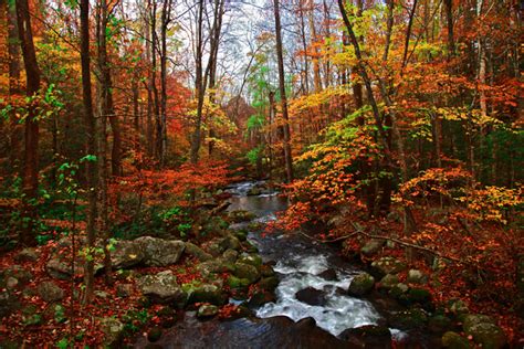 Smoky Mountains Fall Photography - Autumn Stream with Vibrant Fall ...