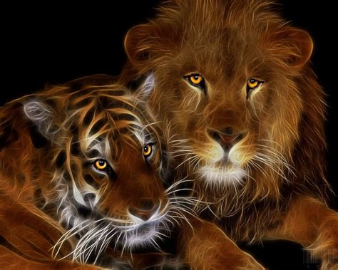 Lion and tiger, animals, big cats, lions, tigers, HD wallpaper | Peakpx