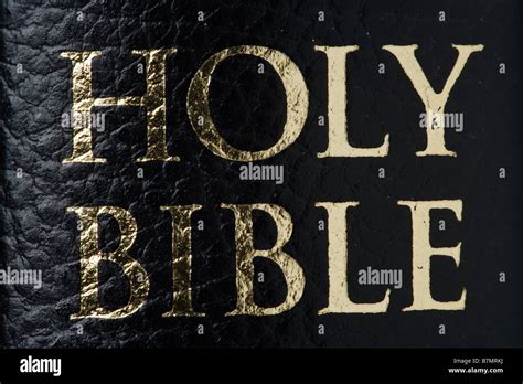 Holy Bible Cover Art