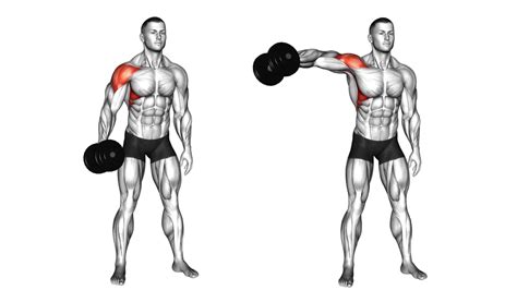 Dumbbell Shoulder Fly: Muscles Worked, Benefits, Tips