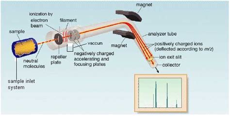 Mass Spectrometry: A Short Introduction | Chemistry.Com.Pk