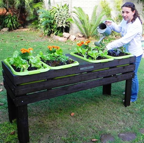 How To Plant A Vegetable Garden In Planters