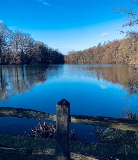 Virginia Water Lake - A Springtime Walk | BaldHiker