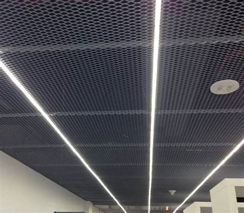 Expanded Mesh Ceiling in Office, Administrative Building, Lounge