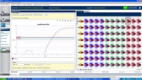 Real-Time PCR Applications | Thermo Fisher Scientific - US