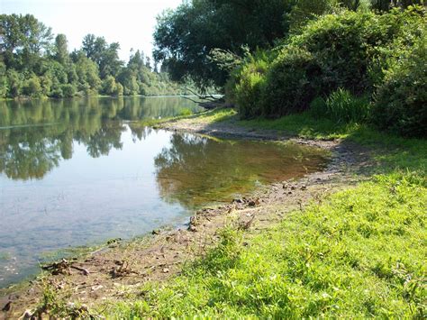 Riparian Restoration - Calapooia Watershed Council