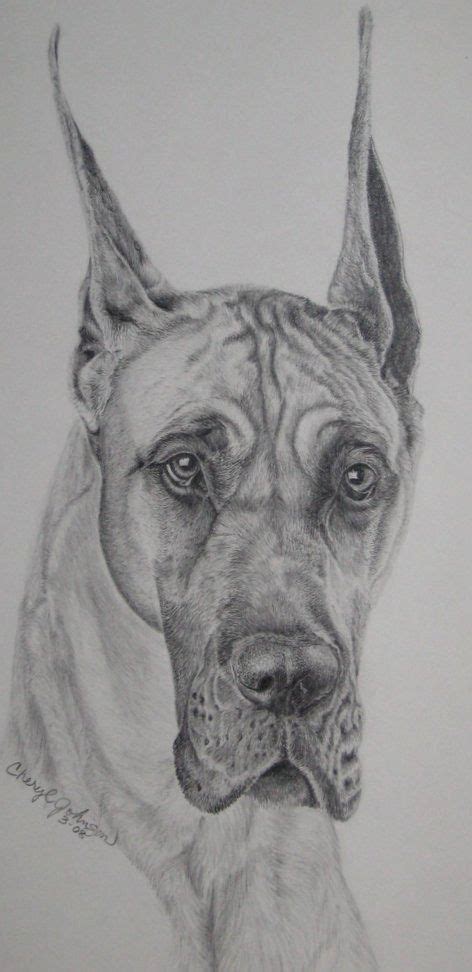 A drawing i made of a Great Dane in 2023 | Animal drawings, Realistic ...