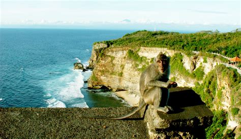 Uluwatu Temple South Bali Place of Interest in Bali Island, Tours ...