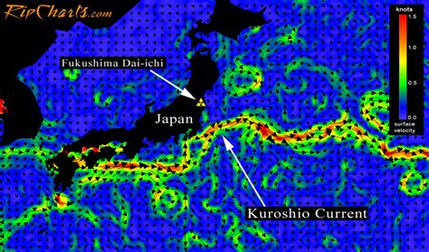 Kuroshio Current | IFish Fishing Forum