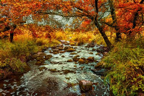 Autumn Creek by Dimentichisi on DeviantArt