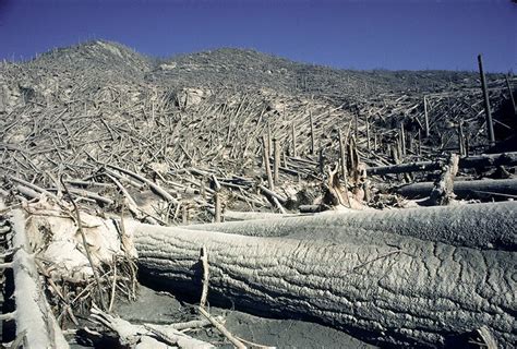 Mount St. Helens — 40 Years After the Blast — Washington Trails Association