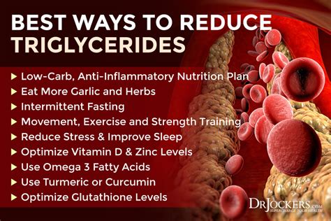 High Triglycerides: Root Causes and Natural Support Strategies