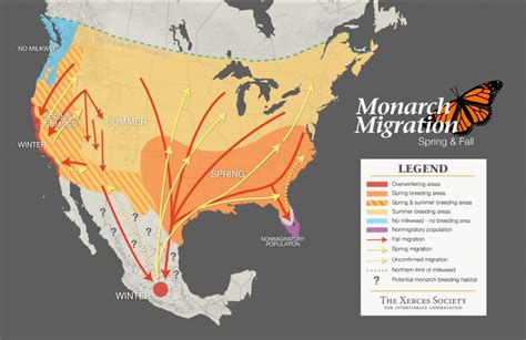 Monarch Butterfly Distribution Map - Monarch Butterfly Migration Map ...