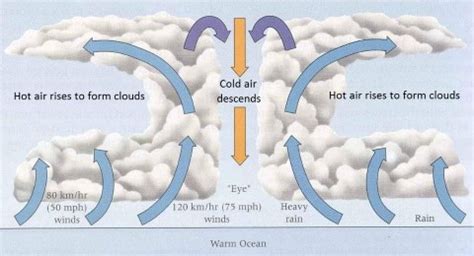 Tropical Cyclones: Favorable Conditions for Formation, Stages of ...