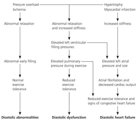 Diagnosis and Management of Diastolic Dysfunction and Heart Failure | AAFP