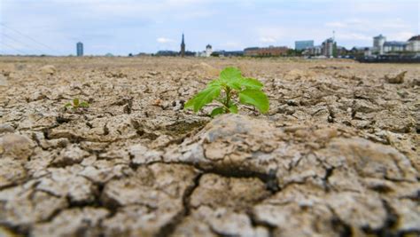 Heat waves and droughts will get longer even if global warming is ...