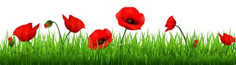 Poppies clipart 20 free Cliparts | Download images on Clipground 2024