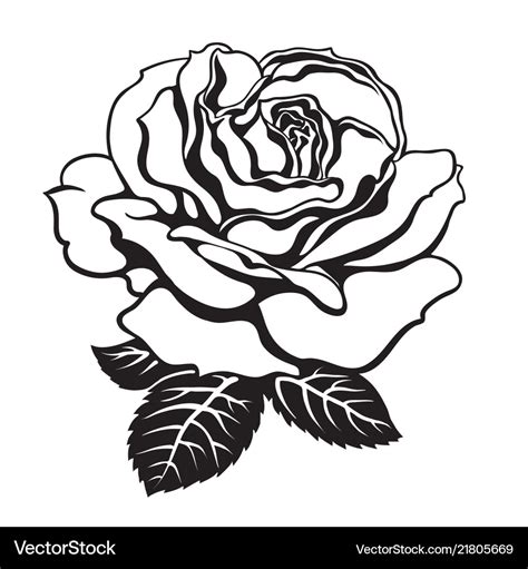 Rose Flower Vector Black And White