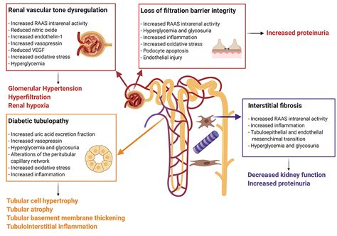 Acute Kidney Injury (AKI) Genitourinary Disorders MSD, 50% OFF