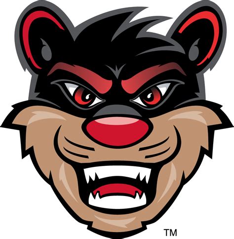 Cincinnati Bearcats Logo - Mascot Logo - NCAA Division I (a-c) (NCAA a ...