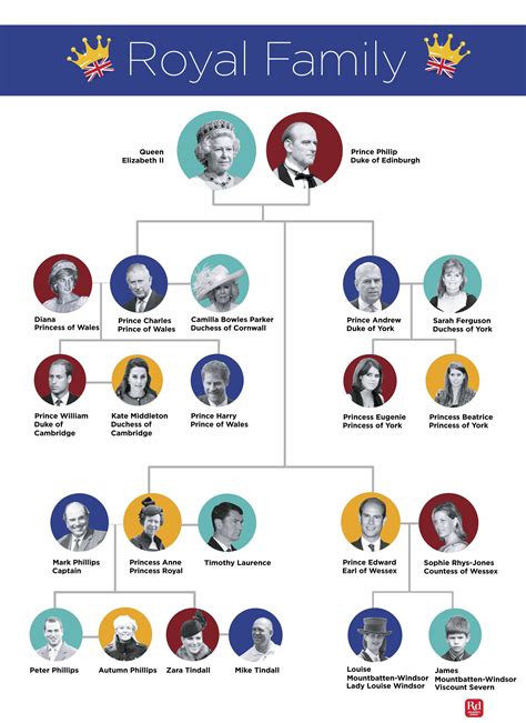 The british royal family tree and complete line of succession – Artofit