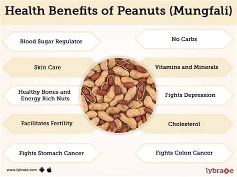 Peanuts (Mungfali) Benefits And Its Side Effects | Lybrate