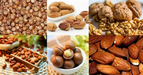 7 Absolute Best Keto Nuts To Eat with Lowest Net Carbs | KetoVale