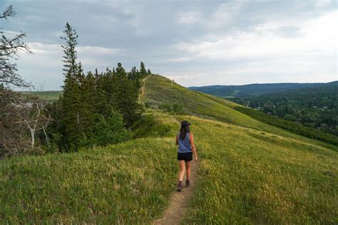 Best Things to Do in Cypress Hills Alberta - Must Do Canada