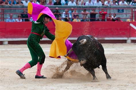 Madrid Bullfighting – Schedule for the 2024 bullfighting season