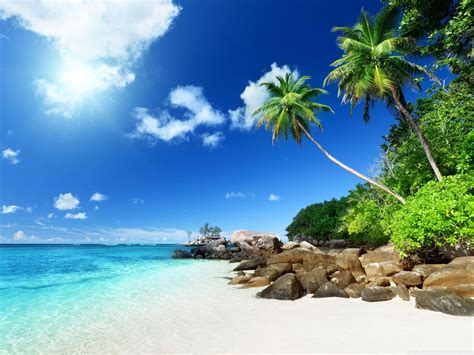 Paradise Beach Wallpapers - Top Free Paradise Beach Backgrounds ...