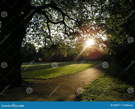 Park Sunrise stock image. Image of branch, path, outdoor - 548971