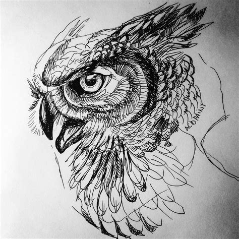 owl, ink, 11x14 : Art