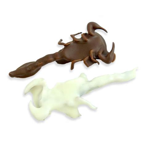 Yin-Yang Chocolate Covered Scorpions