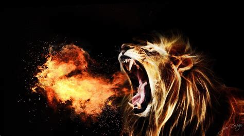 Lion Roar Wallpapers - Wallpaper Cave