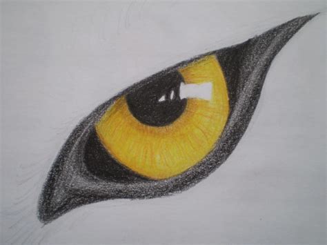 Wolf's eye by MustaVuona on DeviantArt