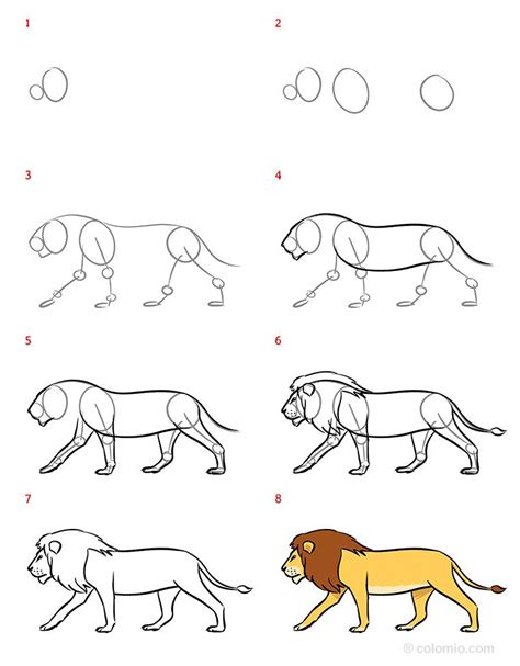 Lion Drawing Step By Step