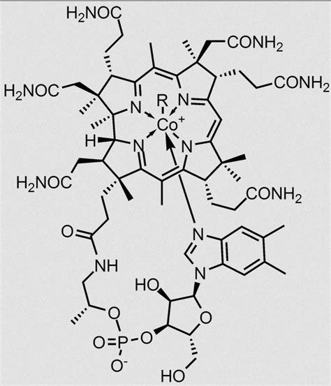 Meet Dorothy Hodgkin, the biochemist who pieced together penicillin ...