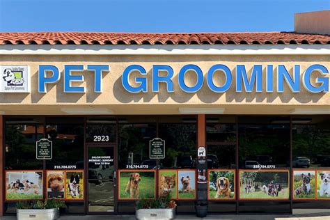 Lucky Dawg Salon Grooming in California – Pet Grooming and Salon ...