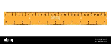 30 cm ruler. School supplies. Measurement tool. Isolated vector ...