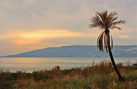 Sea of Galilee | Israel, Fishing, Map, & History | Britannica