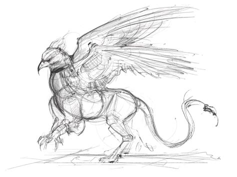 Griffin Concept Sketch- WIP! : r/drawing