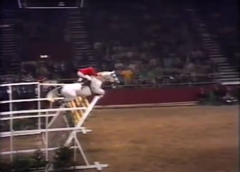 Better. Faster. Stronger. World Record Heights in Show Jumping ...