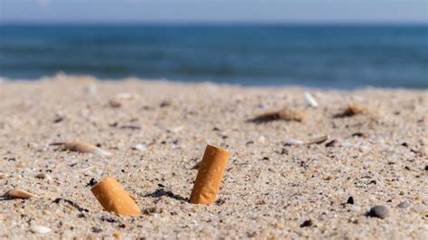 Special cigarette bins help fight pollution on Tallinn beaches | WMW