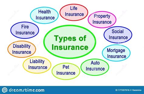 8 Different Types of Insurance - ProGuide