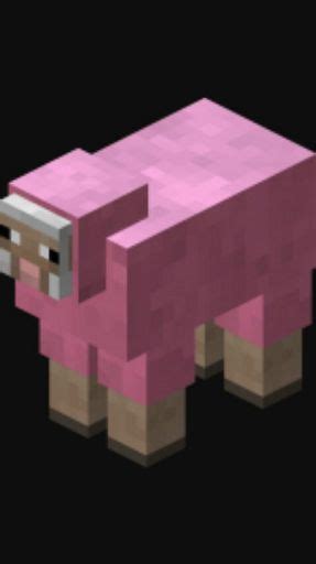 Pink Sheep | Wiki | Minecraft Amino