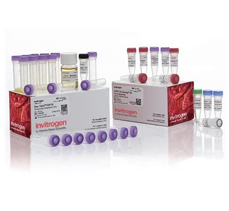 TOPO™ TA Cloning™ Kit for Sequencing, with One Shot™ TOP10 Chemically ...