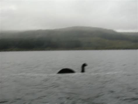 Here's Nessie! - Loch Ness Monster Photo (2245490) - Fanpop