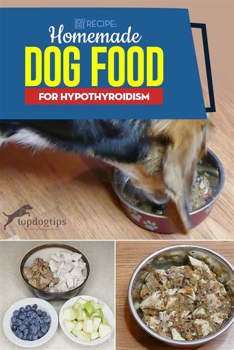 Homemade Dog Food for Hypothyroidism Recipe