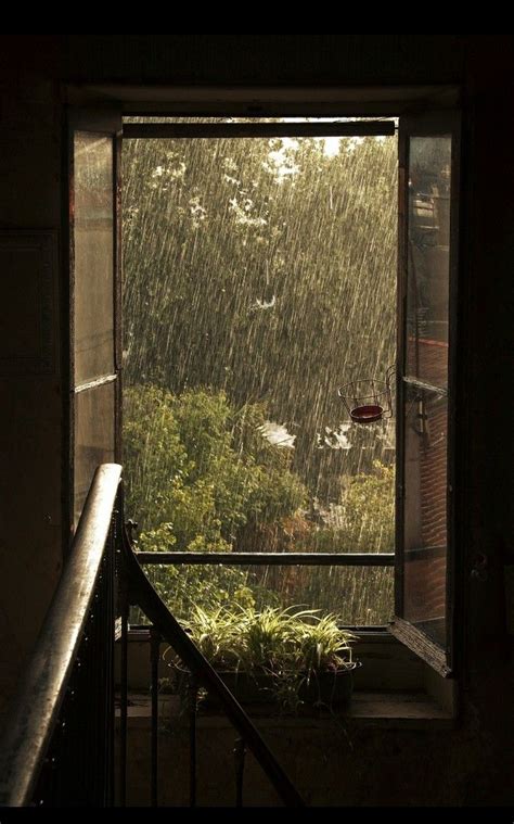 Pin by amama on home decor | Rainy day aesthetic, Nature aesthetic ...