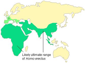 Early Human Evolution: Homo ergaster and erectus